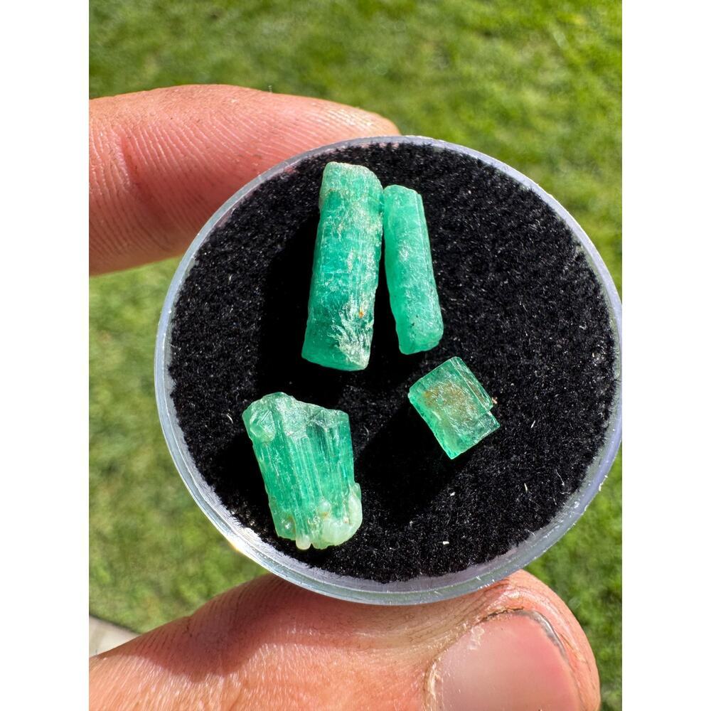 Emerald Crystals Lot in Display Case - 6 carats